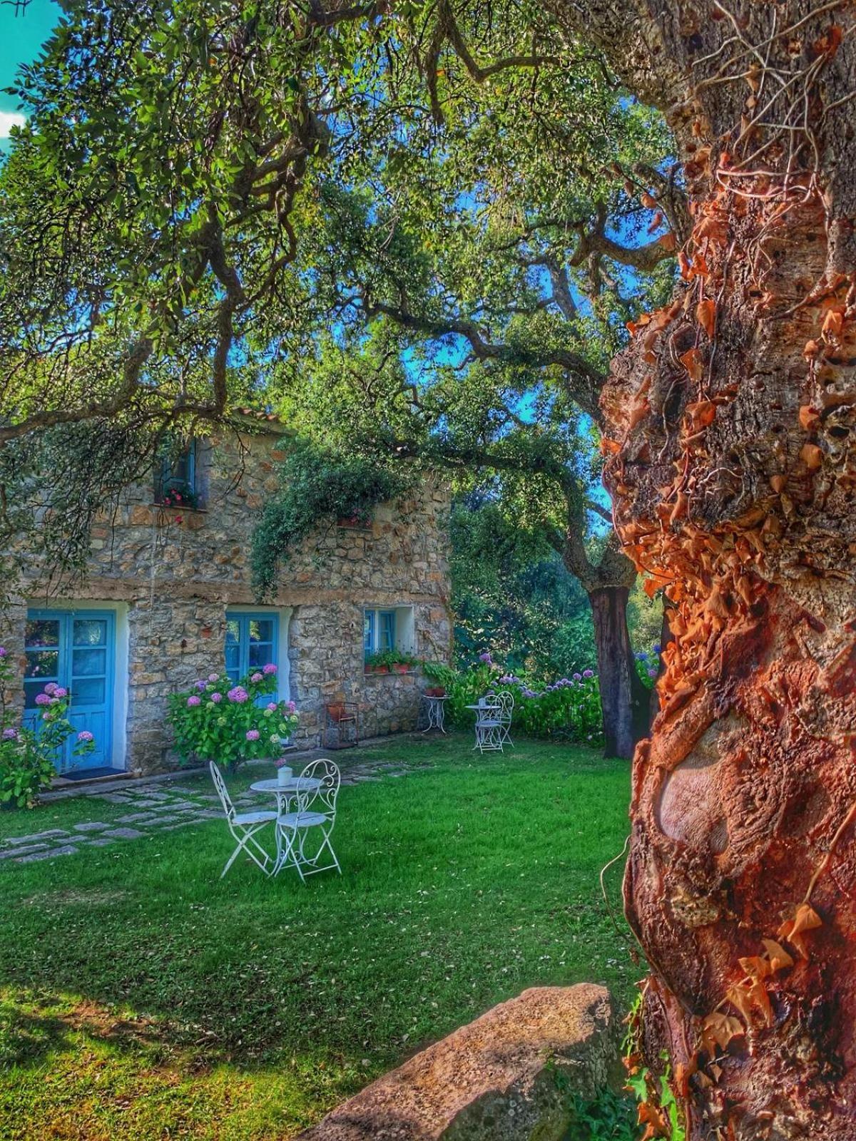 Agriturismo Casteddu Padru Esterno foto